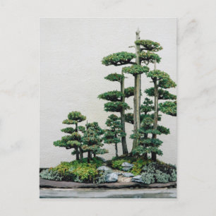 Juniper Bonsai Forest Postcard
