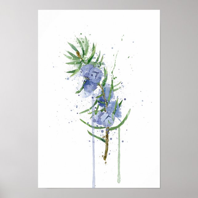 Juniper Poster (Front)