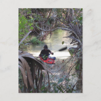 Juniper Springs, Fl Postcard