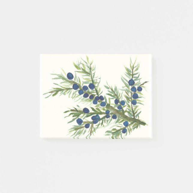 Juniper twig with blue berries post-it notes (Front)