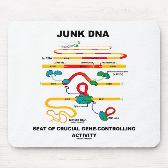 Junk DNA Seat Of Crucial Gene-Controlling Activity Mouse Mat (Front)
