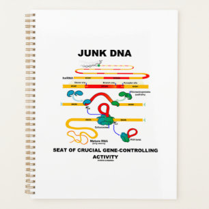 Junk DNA Seat Of Crucial Gene-Controlling Activity Planner
