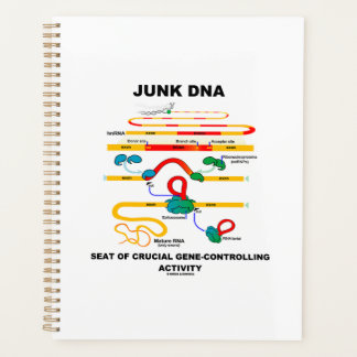 Junk DNA Seat Of Crucial Gene-Controlling Activity Planner
