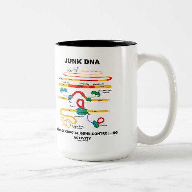 Junk DNA Seat Of Crucial Gene-Controlling Activity Two-Tone Coffee Mug (Right)