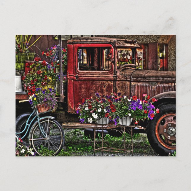 Junkyard Garden Postcard (Front)