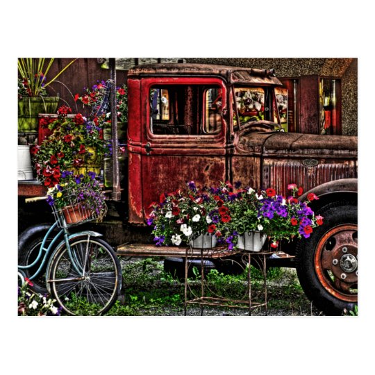 Junkyard Garden Postcard