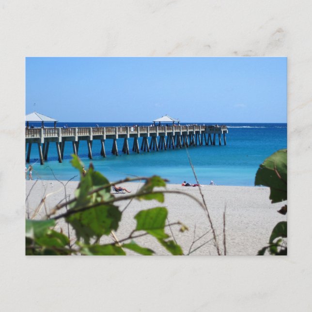 Juno Beach Pier Postcard (Front)