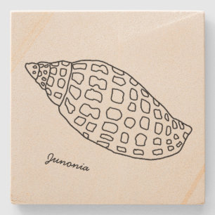 Junonia Seashell Drawing Tropical Stone Coaster