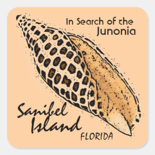 Junonia shell Sanibel Island Florida stickers