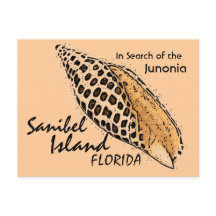 Junonia shell Sanibel Island humour postcard