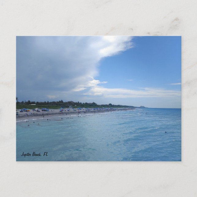Jupiter Beach Fl Postcard (Front)