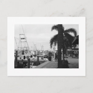 Jupiter, Florida Black & White Photo postcard