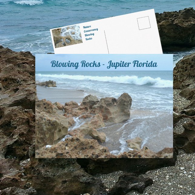 Jupiter Florida Blowing Rocks Photographic Postcard (Creator Uploaded)