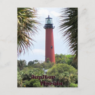 Jupiter Lighthouse through the Palms Postcard