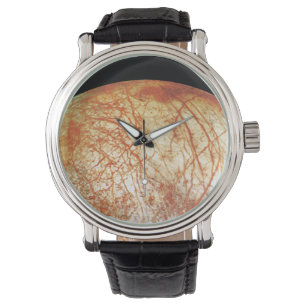 Jupiter's Moon Europa Watch