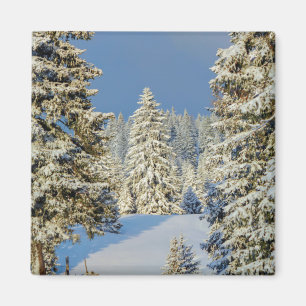 Jura mountain by winter sunset, Switzerland Magnet