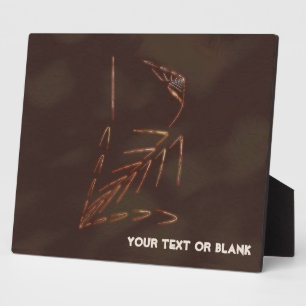 Jurassic Fossil Plaque