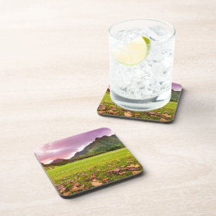 Jurassic Sunset Coaster