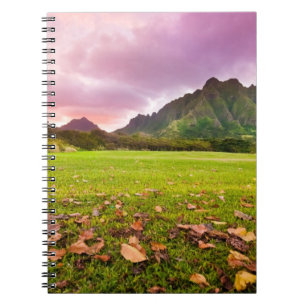 Jurassic Sunset Notebook