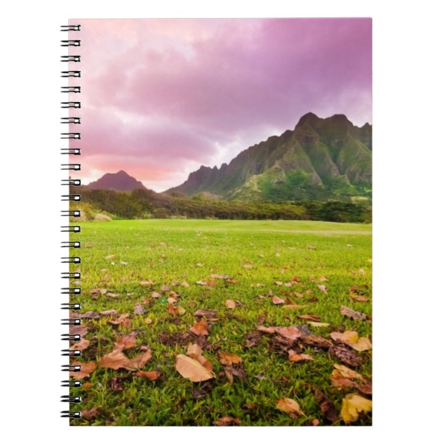 Jurassic Sunset Notebook (Front)
