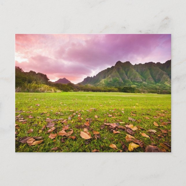 Jurassic Sunset Postcard (Front)