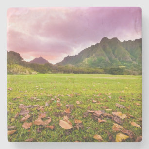 Jurassic Sunset Stone Coaster
