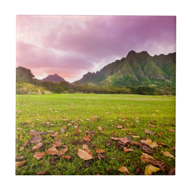 Jurassic Sunset Tile (Front)