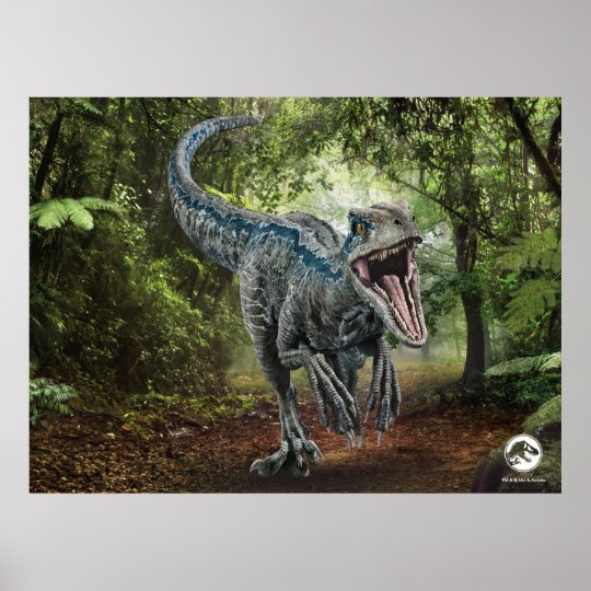Jurassic World Blue Nature S Got Teeth Poster Zazzle Co Uk
