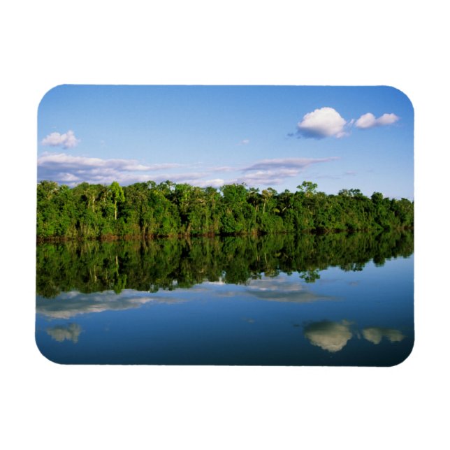Juruena, Brazil. Forested river bank reflected Magnet (Horizontal)