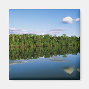 Juruena, Brazil. Forested river bank reflected Magnet