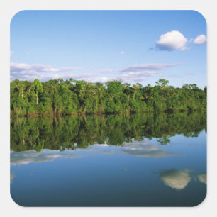 Juruena, Brazil. Forested river bank reflected Square Sticker