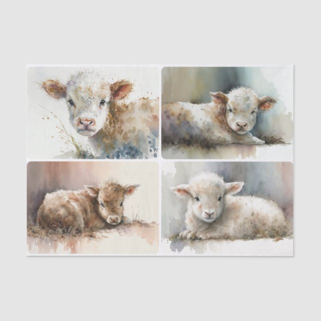 Just a Baby  Tissue Paper (Front)