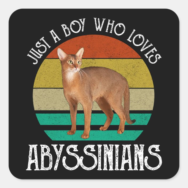 Just A Boy Who Loves Abyssinians Square Sticker (Front)