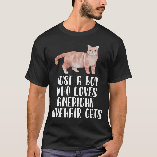 Just A Boy Who Loves American Wirehair Cats T-Shirt (Front)