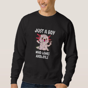 Just A Boy Who Loves Axolotls Mexican Salamander Sweatshirt