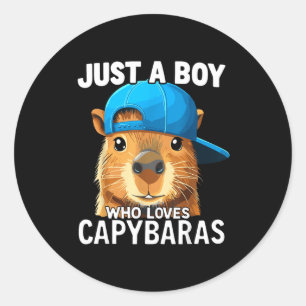 Just A Boy Who Loves Capybaras  Classic Round Sticker