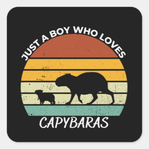 Just a boy who loves capybaras square sticker