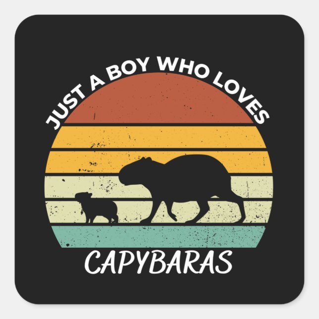 Just a boy who loves capybaras square sticker (Front)