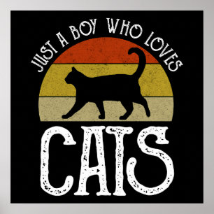 Just A Boy Who Loves Cats Poster