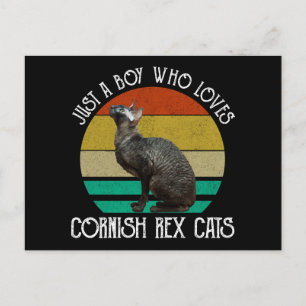 Just A Boy Who Loves Cornish Rex Cats Postcard
