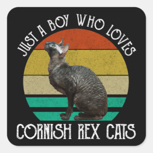 Just A Boy Who Loves Cornish Rex Cats Square Sticker