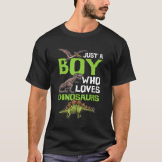 Just A Boy Who Loves Dinosaurs T Rex Dinosaur Gift T-Shirt