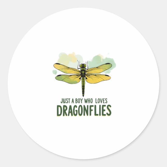 Just a Boy who loves Dragonflies. Dragonflies Drag Classic Round Sticker (Front)