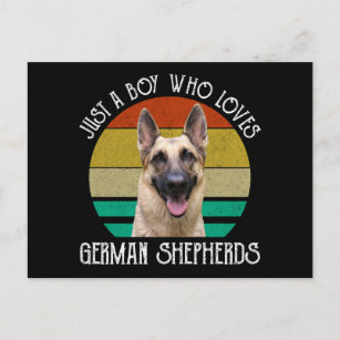Just A Boy Who Loves German Shepherds Postcard