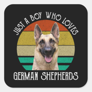 Just A Boy Who Loves German Shepherds Square Sticker
