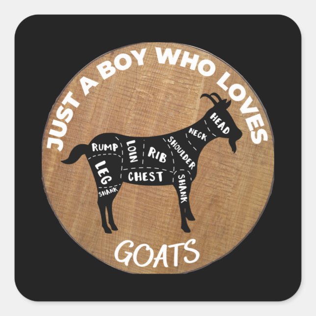 Just A Boy Who Loves Goats Square Sticker (Front)