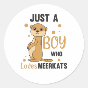 Just a boy who loves meerkats - Zoo Animals Classic Round Sticker