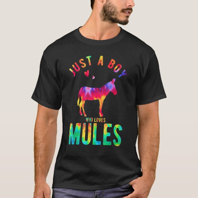 Just A Boy Who Loves Mules Mule Lover Funny Mule T-Shirt (Front)