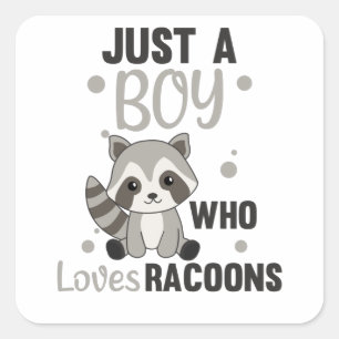 Just A Boy Who Loves Racoons Kawaii Racoon Square Sticker
