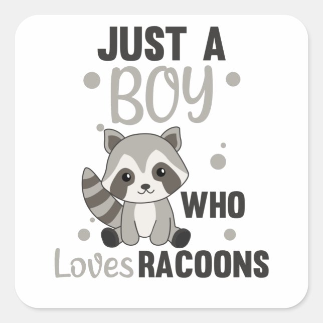 Just A Boy Who Loves Racoons Kawaii Racoon Square Sticker (Front)